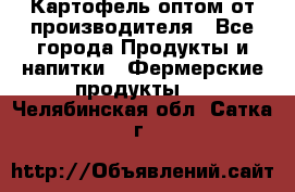 Картофель оптом от производителя - Все города Продукты и напитки » Фермерские продукты   . Челябинская обл.,Сатка г.